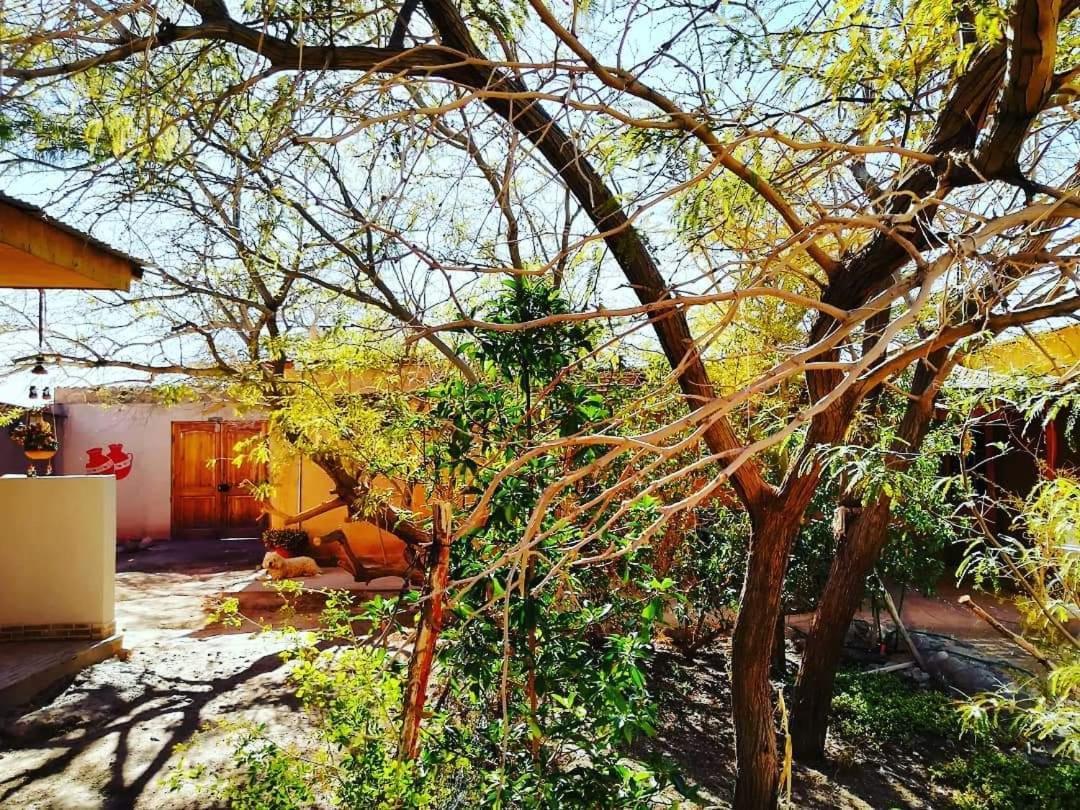 Hostal Candelaria San Pedro de Atacama Exterior photo